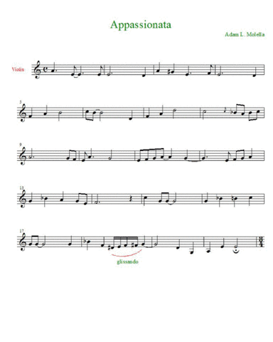 Appasionata violin solo 2016