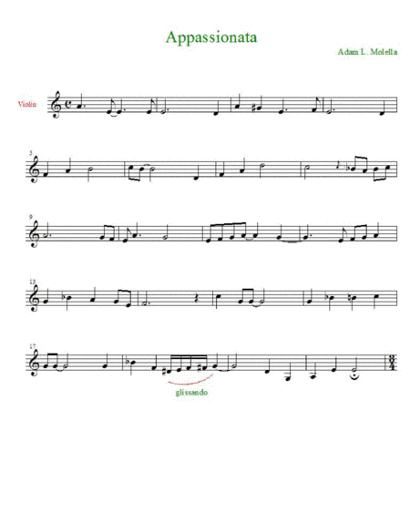 Appasionata violin solo 2016