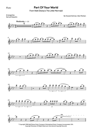 Part Of Your World (reprise) (arr. Samuel Sequeira)
