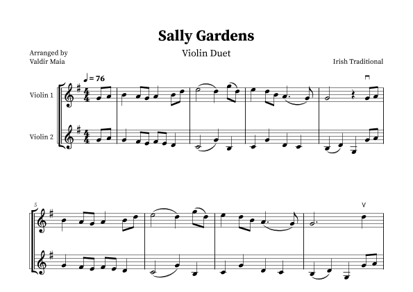 Sally Gardens - Violin Duet (arr. Valdir Maia)