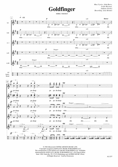 Goldfinger (arr. Jetse Bremer)
