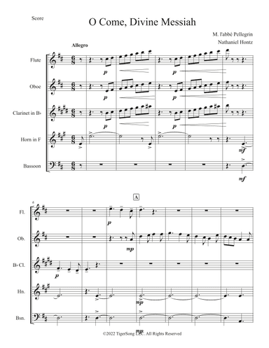 O Come, Divine Messiah (French and Celtic Carol) for Woodwind Quintet (arr. Nathaniel Hontz)