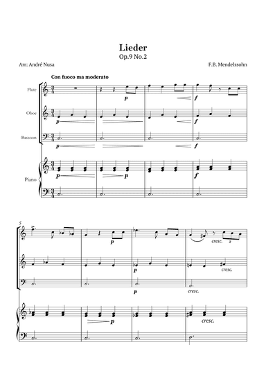 Lieder Op.9 No.2 (arr. André Nusa)