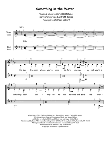 Something In The Water (arr. Michael Gellert)