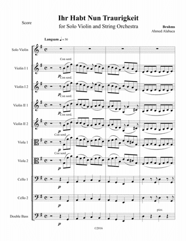 "Ihr Habt Nun Traurigkeit" from Brahms Requiem for Solo Violin and String orchestra (arr. Ahmed Alabaca)