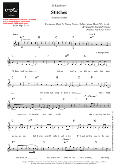 Stitches (arr. Frank de Vreeze)