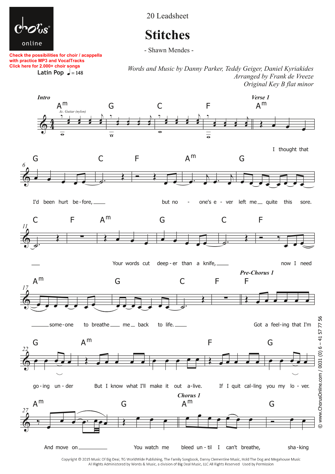 Stitches (arr. Frank de Vreeze)