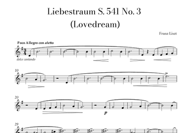 Liszt - Liebestraum (Love Dream) Solo Violin in G major (arr. Lais Reis)
