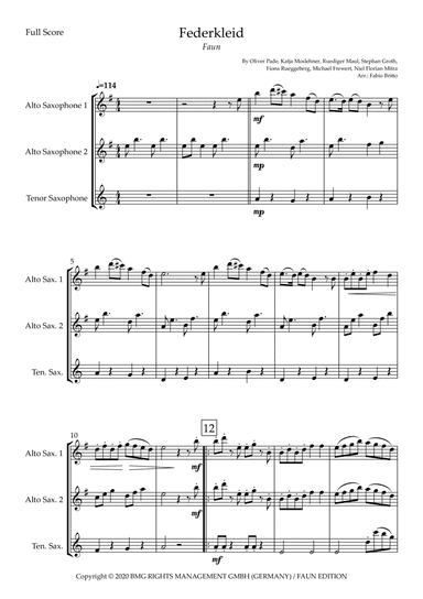 Federkleid (arr. Fabio Britto)