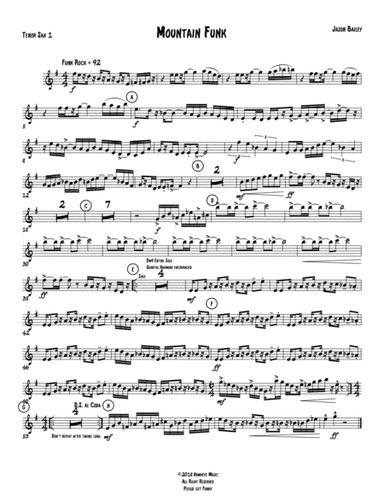 Mountain Funk