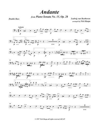 Andante from Piano Sonata 15 arranged for string orchestra (Double Bass part) (arr. Nick Raspa)