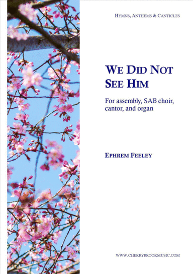 We Did Not See Him