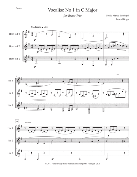 Vocalise No 1 in C Major (arr. James Bicigo)