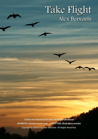 Take Flight