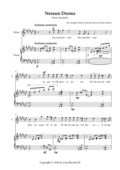 Nessun Dorma - Tenor & Piano (arr. Karen Gueiros)