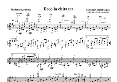 Ecco la chitarra