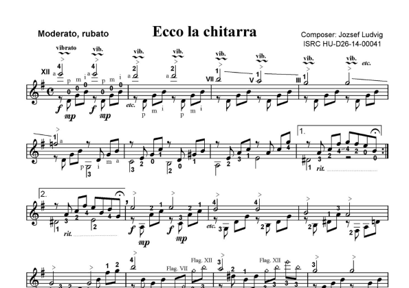 Ecco la chitarra