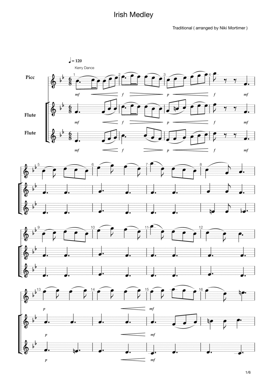 Irish Flute Medley (arr. Niki Mortimer)