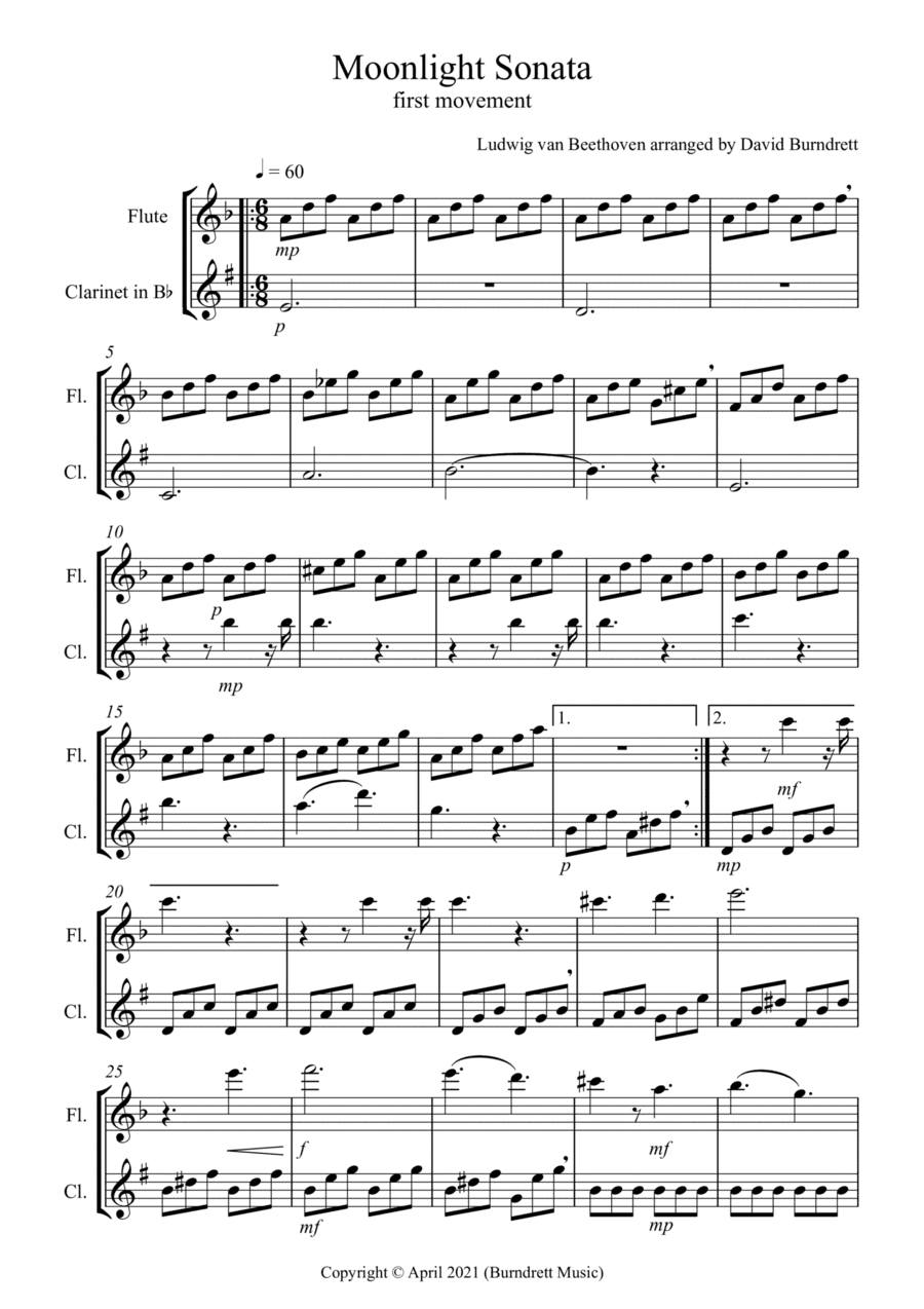 Moonlight Sonata (1st movement) for Flute and Clarinet Duet (arr. David Burndrett)