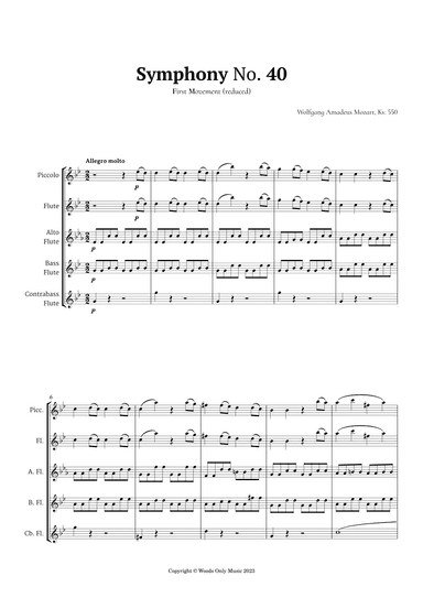 Symphony No. 40 by Mozart for Flute Ensemble Quintet (arr. Ander)