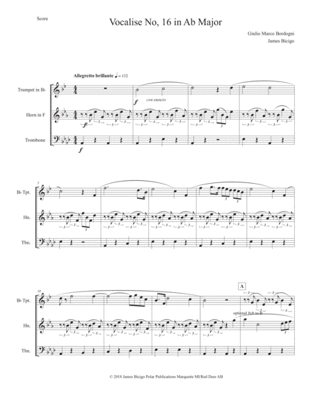Vocalise No. 16 in Ab Major (arr. James Bicigo)