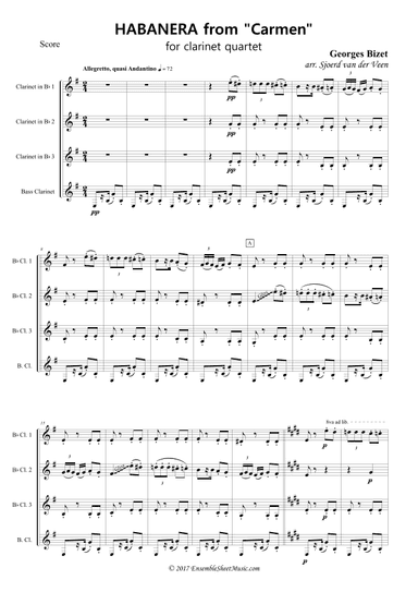 Habanera from "Carmen" (arr. Sjoerd van der Veen)