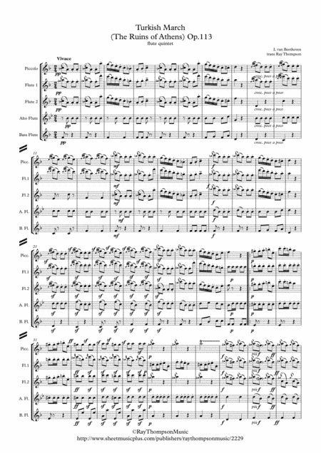 Beethoven: Turkish March (Ruins of Athens Op.113) - flute quintet (arr. Ray Thompson)