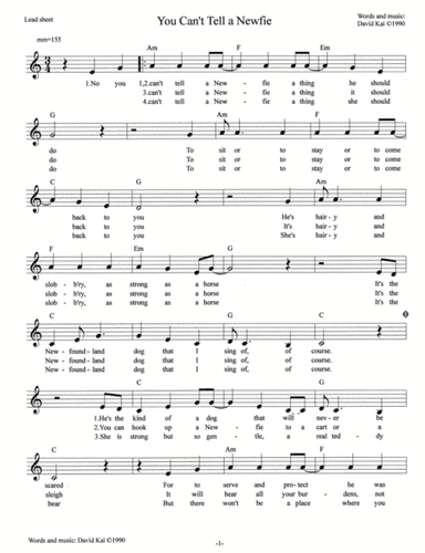 You Can't Tell a Newfie - lead sheet in C