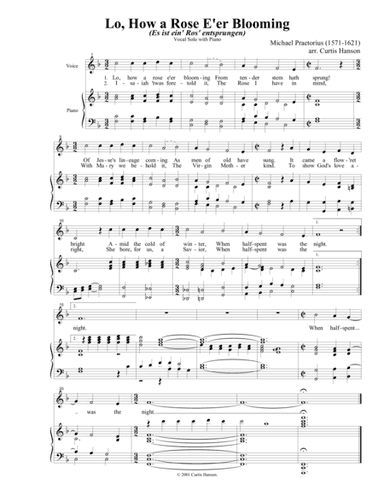 Lo, How a Rose E'er Blooming (arr. Curtis Hanson)