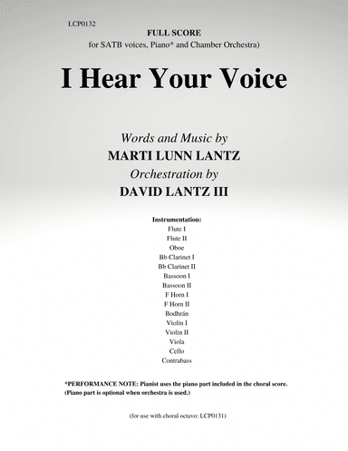 I Hear Your Voice