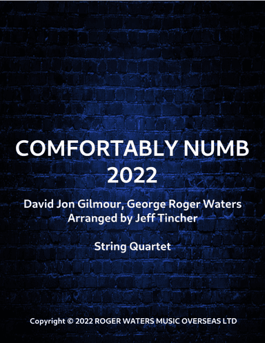 Comfortably Numb 2022 (arr. Jeff Tincher)