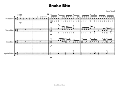 Snake Bite (Drumline Cadence)