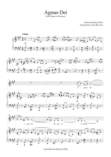 Agnus Dei - Mass B Minor BACH - F# minor (arr. Cadu Barcelos)