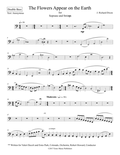 The Flowers Appear on the Earth--Double Bass