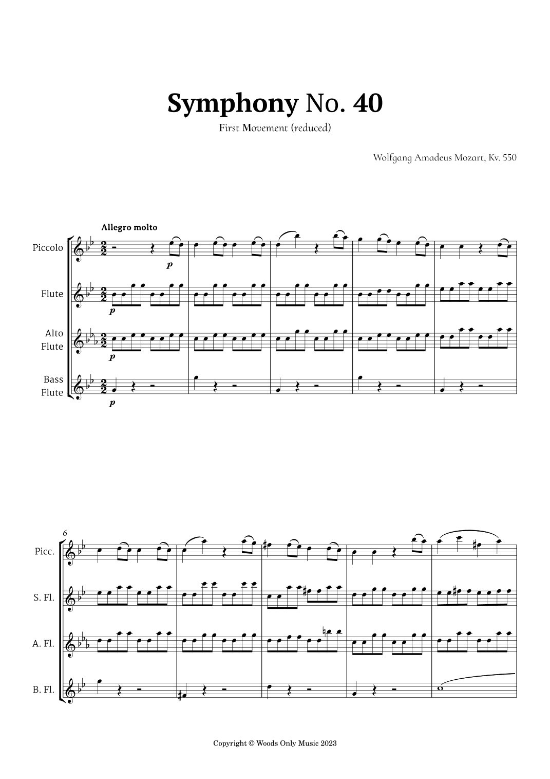 Symphony No. 40 by Mozart for Flute Ensemble (arr. Ander)