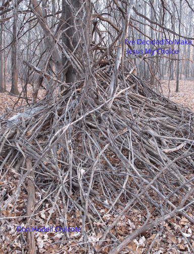 I've Decided To Make Jesus My Choice