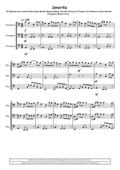 Senorita (arr. Nicolás Cortés Castillo)