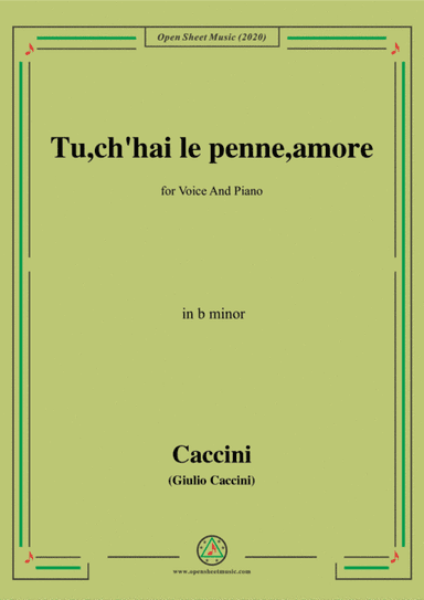 Caccini-Tu,ch'hai le penne,amore,in b minor,for Voice and Piano (arr. MSM)
