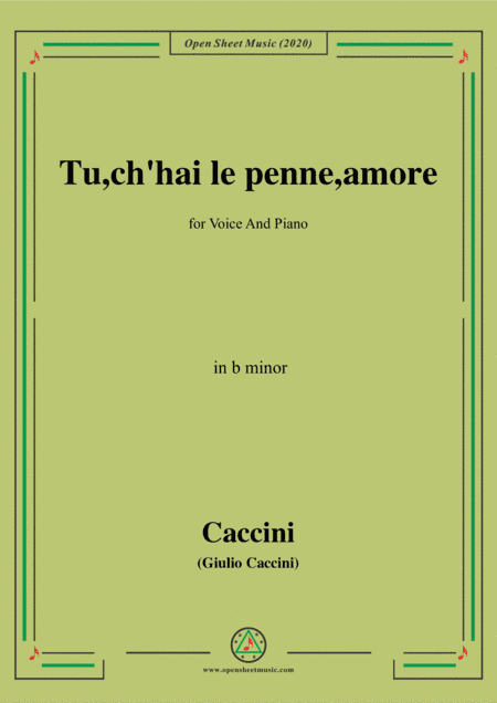 Caccini-Tu,ch'hai le penne,amore,in b minor,for Voice and Piano (arr. MSM)
