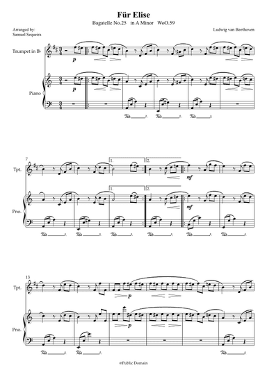 Für Elise (For Elise) - for Trumpet in Bb and Piano accompaniment - with Piano Play along (arr. Samuel Sequeira)