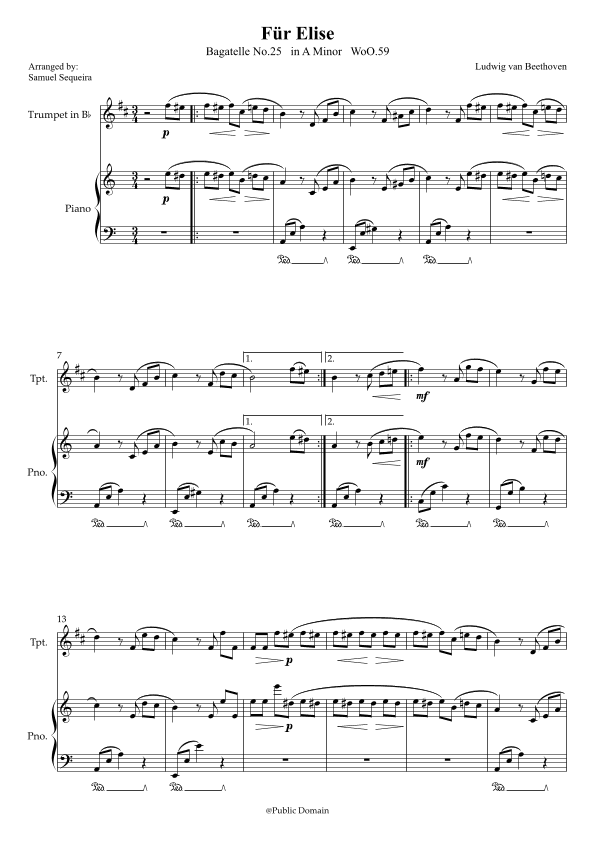 Für Elise (For Elise) - for Trumpet in Bb and Piano accompaniment - with Piano Play along (arr. Samuel Sequeira)