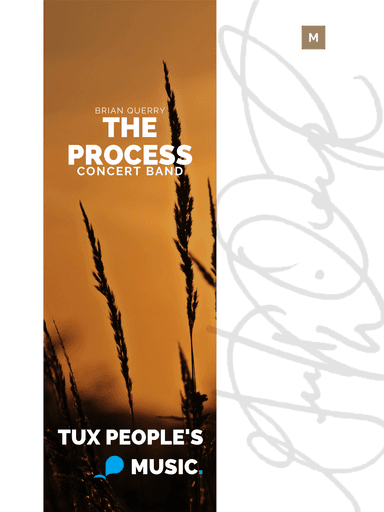 The Process