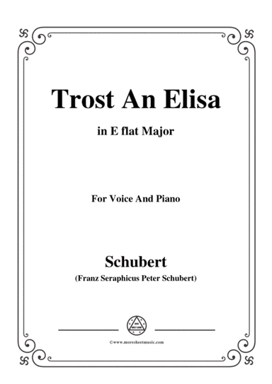 Schubert-Trost An Elisa,in E flat Major,for Voice&Piano (arr. MSM)