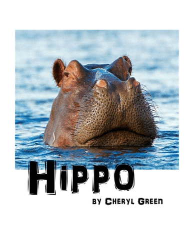 Hippo
