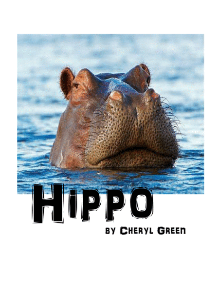 Hippo