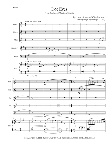 Doe Eyes (love Theme From The Bridges Of Madison County) (arr. Gary)