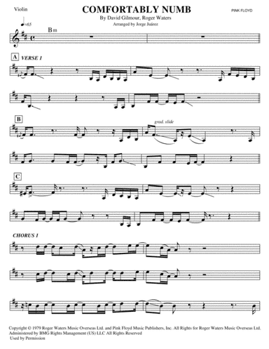 Comfortably Numb (arr. Georgie Guitar)