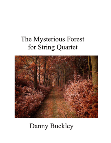 The Mysterious Forest