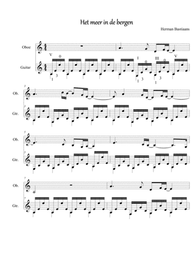 Het meer in de bergen