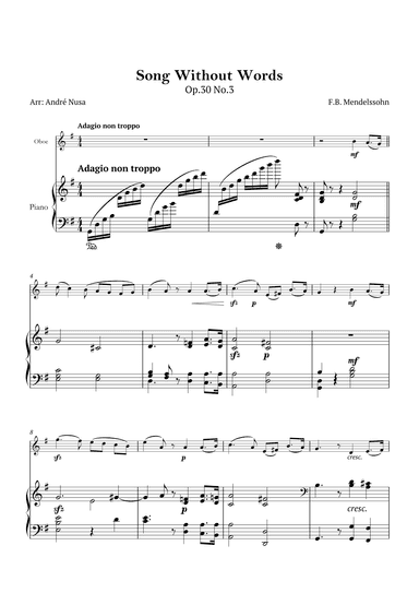 Song Without Words Op.30 No.3 (arr. André Nusa)